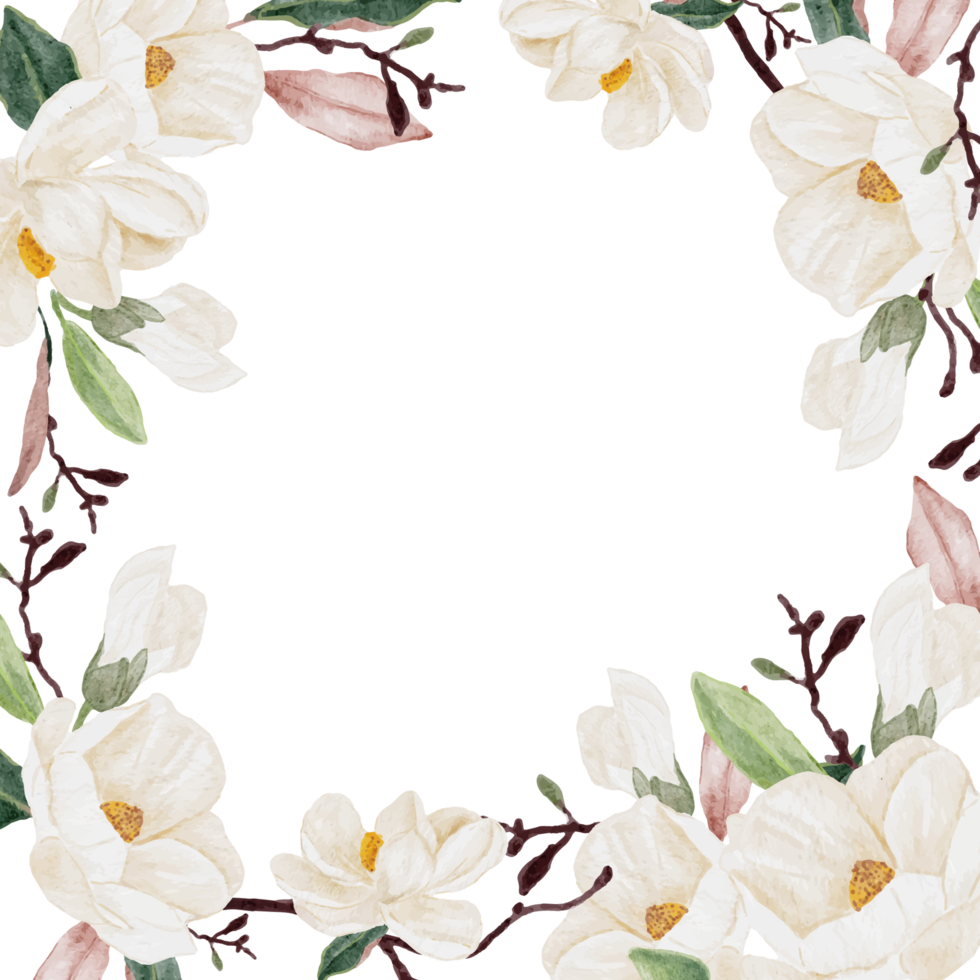 aquarell weiße magnolie blume zweig blumenstrauß quadrat banner hintergrund png