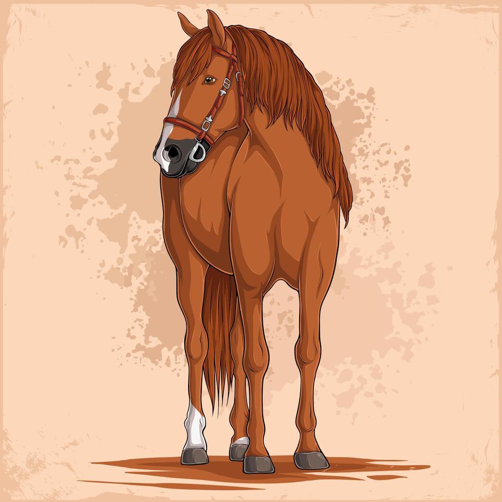 Hand drawn brown horse with soft wave hair looking to the side isolated on plaster background vector