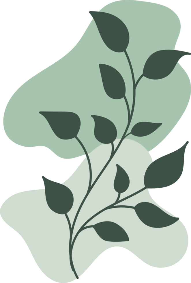 Botanical floral Hand drawn with organic blob shape, leaf and branch element for design png