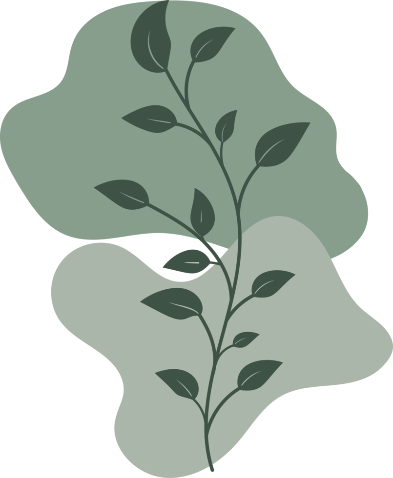 Botanical floral Hand drawn with organic blob shape, leaf and branch element for design png