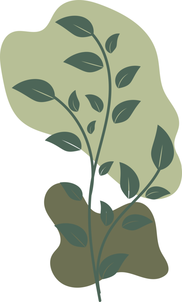 Botanical floral Hand drawn with organic blob shape, leaf and branch element for design png