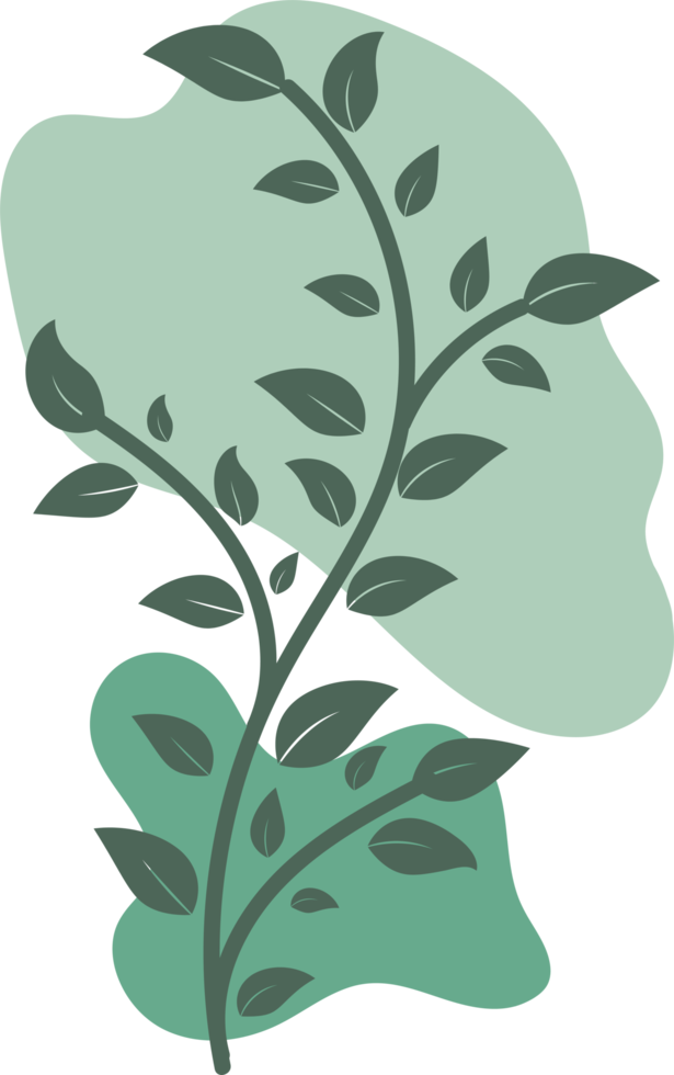 main florale botanique dessinée avec une forme de goutte organique, un élément de feuille et de branche pour la conception png