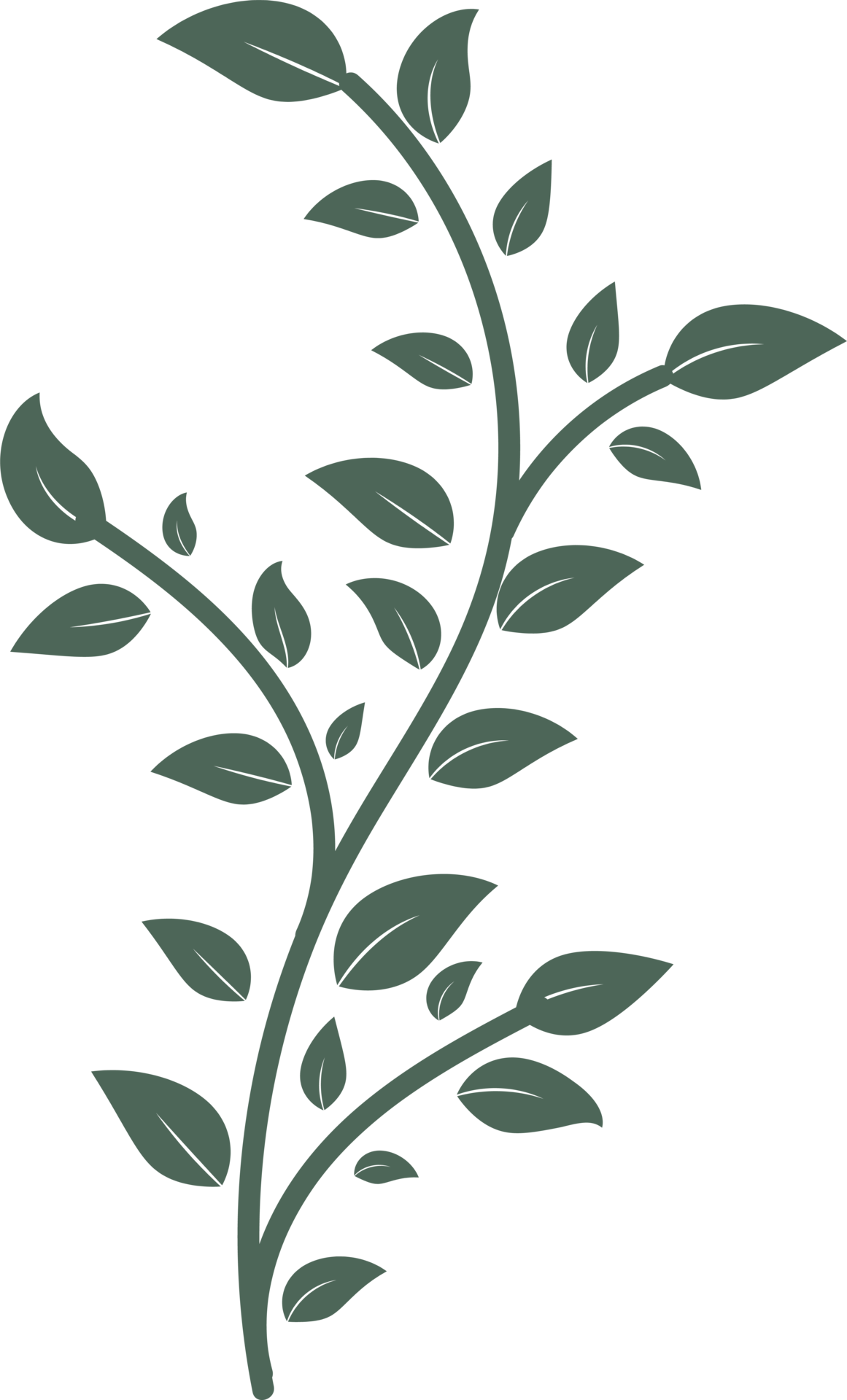 floral leaf hand drawn flat design illustration 9668809 PNG