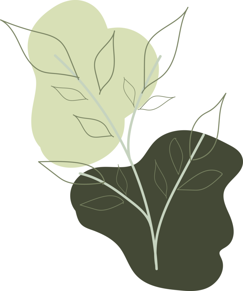 floral leaf hand drawn flat design illustration 9668812 PNG