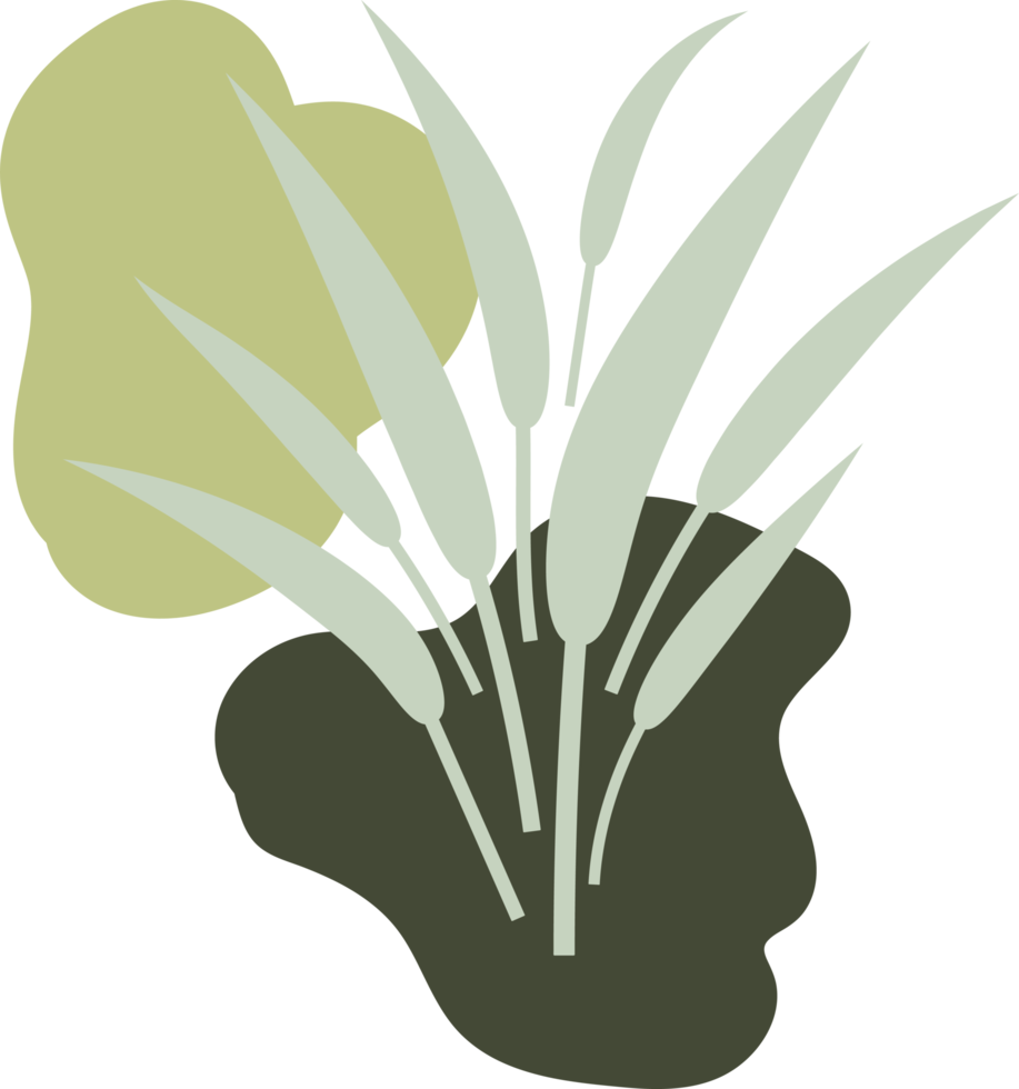 floral leaf  hand drawn flat design  illustration png