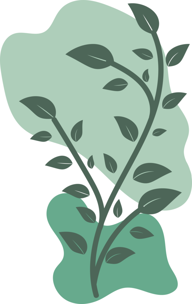 Botanical floral Hand drawn with organic blob shape, leaf and branch element for design png