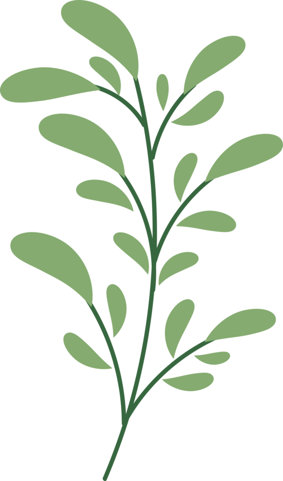 floral leaf  hand drawn flat design  illustration png