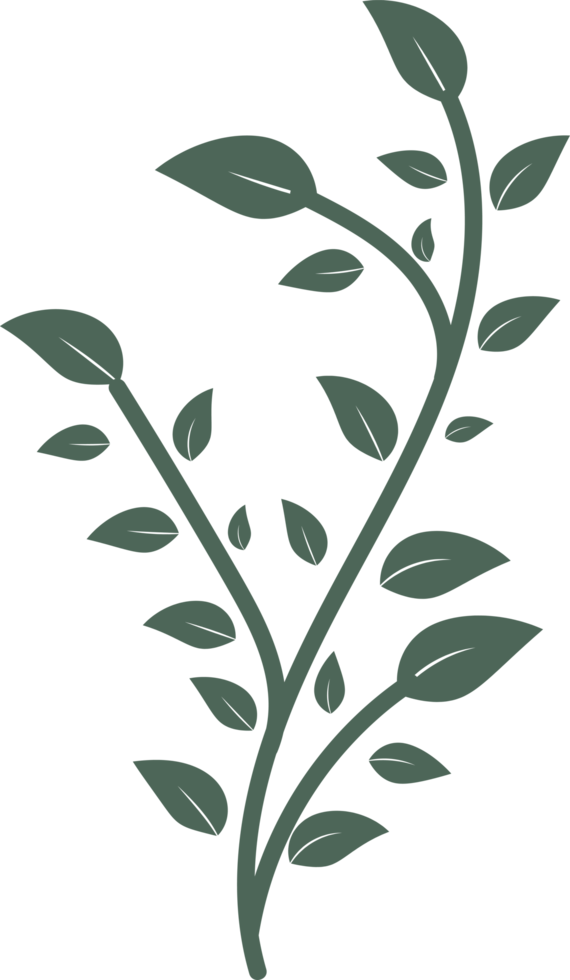 floral leaf  hand drawn flat design  illustration png