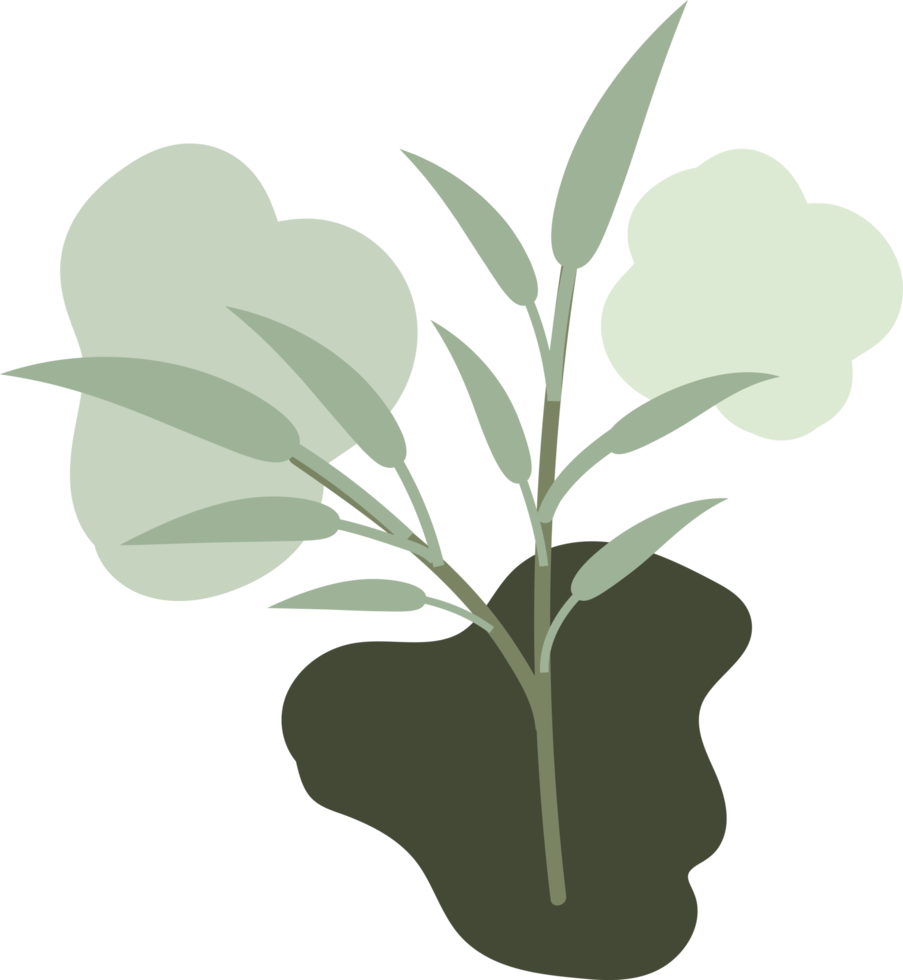 illustration de design plat dessiné à la main feuille florale png