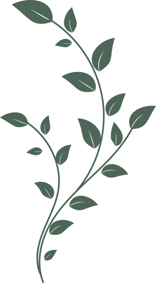 floral leaf hand drawn flat design illustration 9668965 PNG