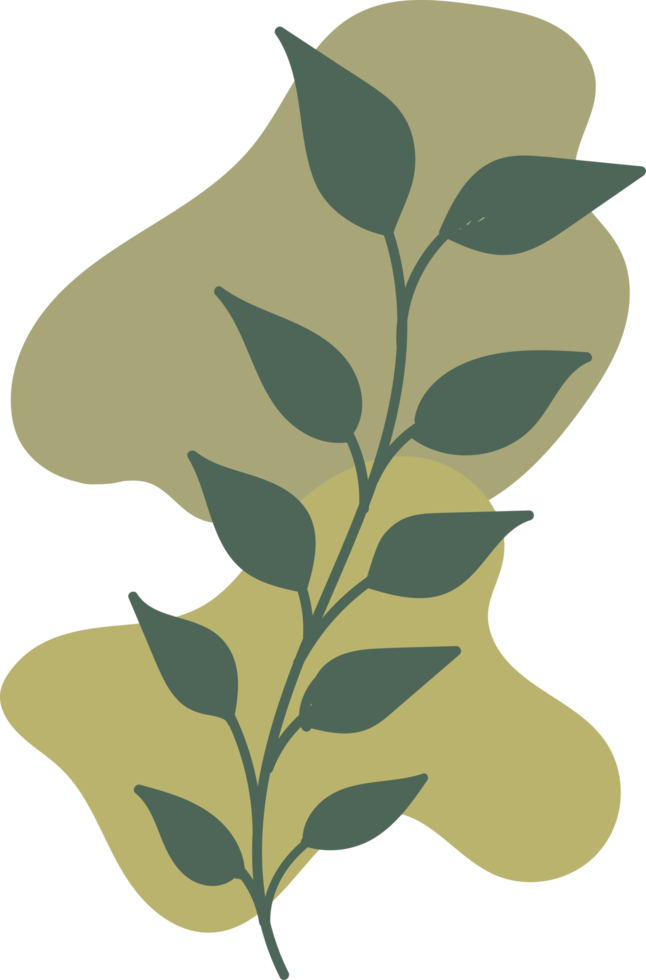Botanical floral Hand drawn with organic blob shape, leaf and branch element for design png