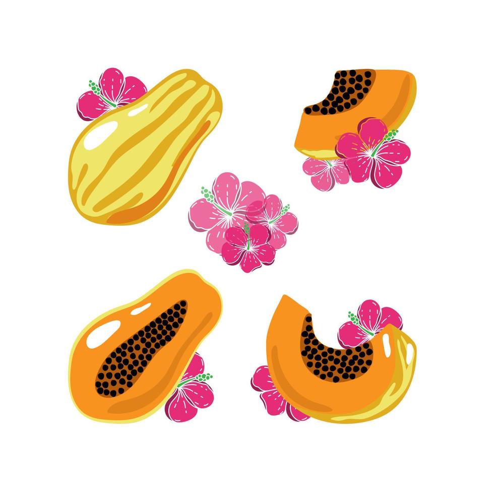 Set of papaya, drawn doodle elements in sketch style. Whole papaya, parts, slices, core and hibiscus flowers. Collection of fruit images. Vector illustration, isolated on white background