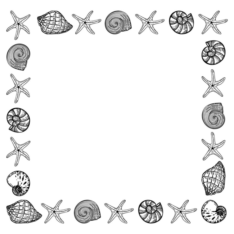 Banner template in nautical style. Hand drawn seashells and starfish in sketch style. Ocean. Template for a nautical-themed advertisement or flyer vector