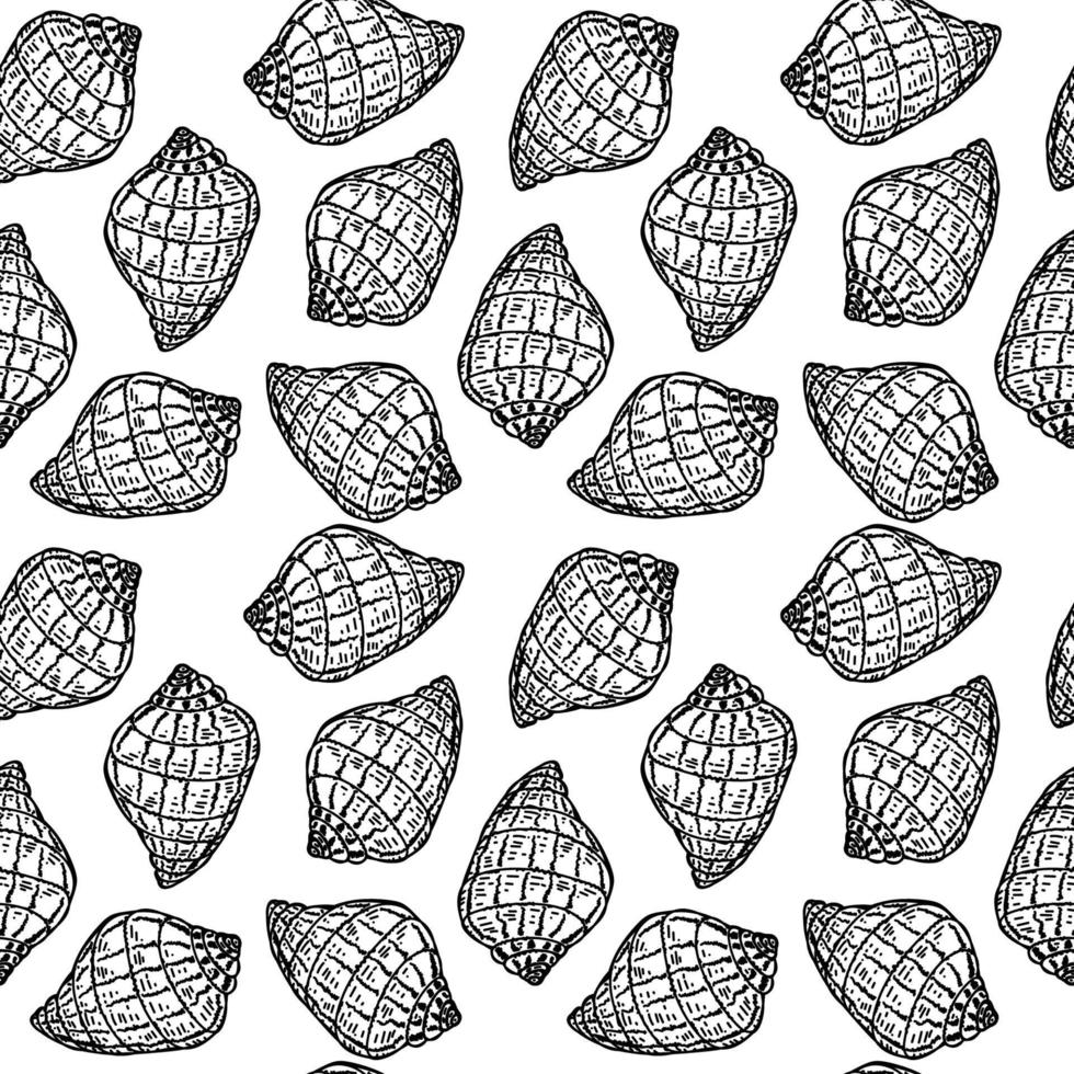 Seamless hand-drawn drawing of seashells in sketch style. Grape snails. Rapanas. Summer. Ocean. Sea relaxation. Seashells with abstract spots. Sea background vector