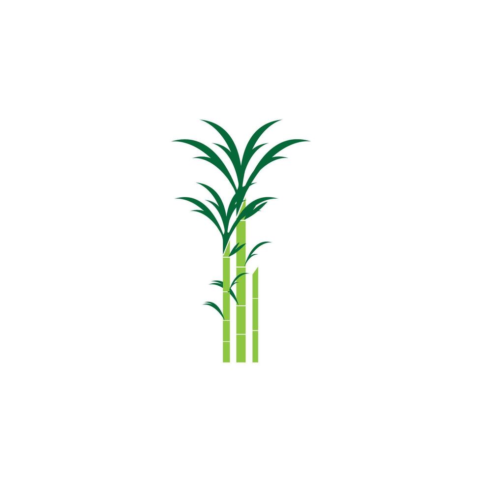 Sugarcan icon vector illustration design template