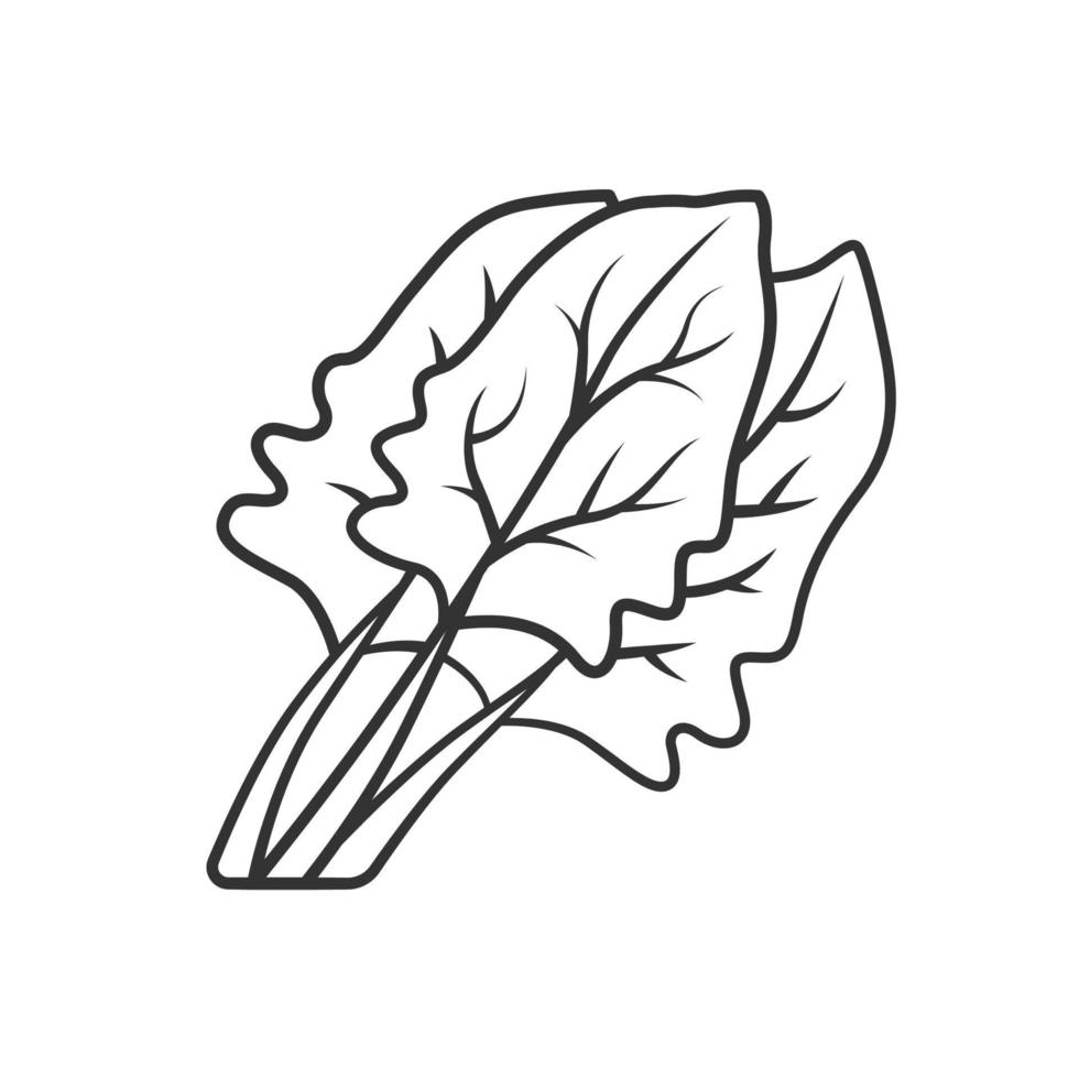 Spinach linear icon. Salad ingredient. Agriculture plant. Leaf. Vegetable farm. Vegan food. Healthy nutrition. Thin line illustration. Contour symbol. Vector isolated outline drawing. Editable stroke