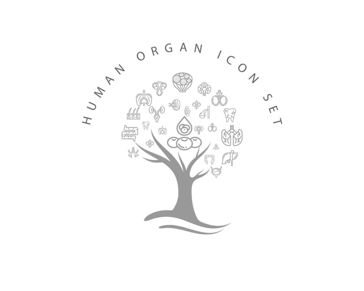 Human organ icon set on white background vector