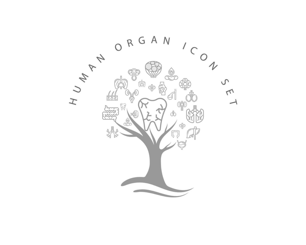 Human organ icon set on white background vector