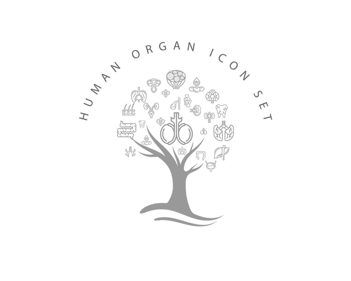 Human organ icon set on white background vector