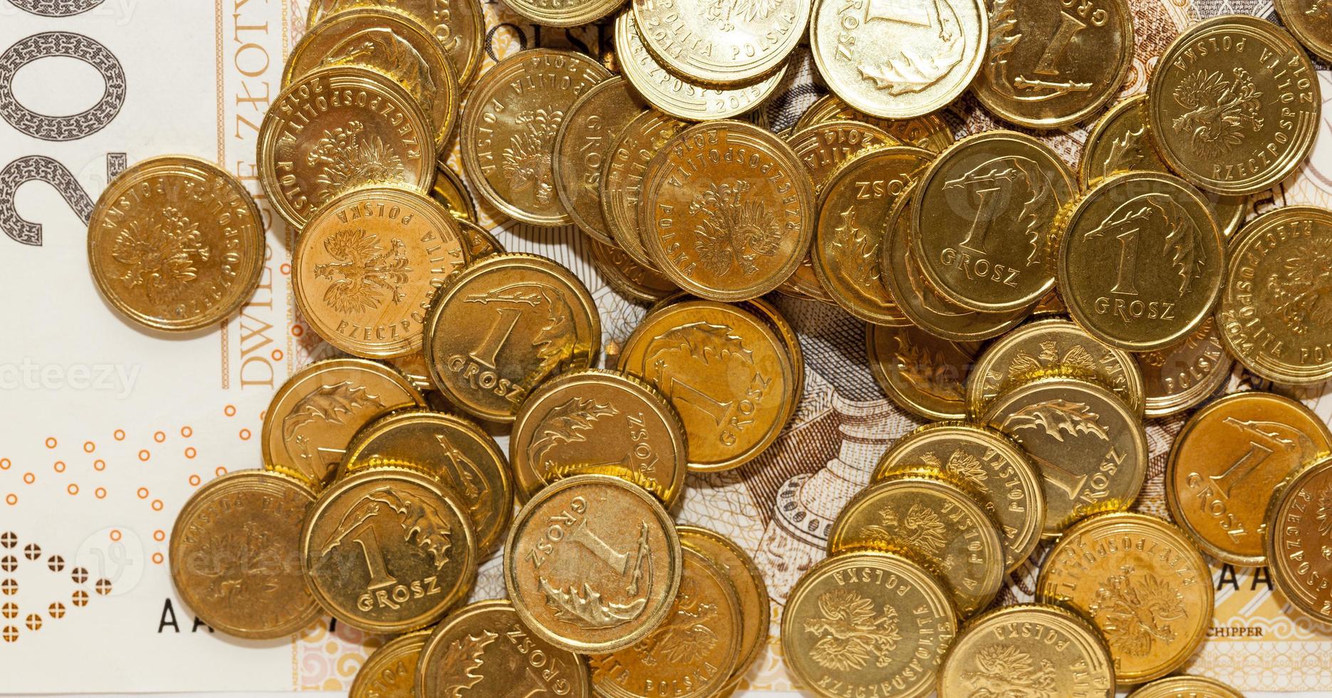 Polish coin money photo