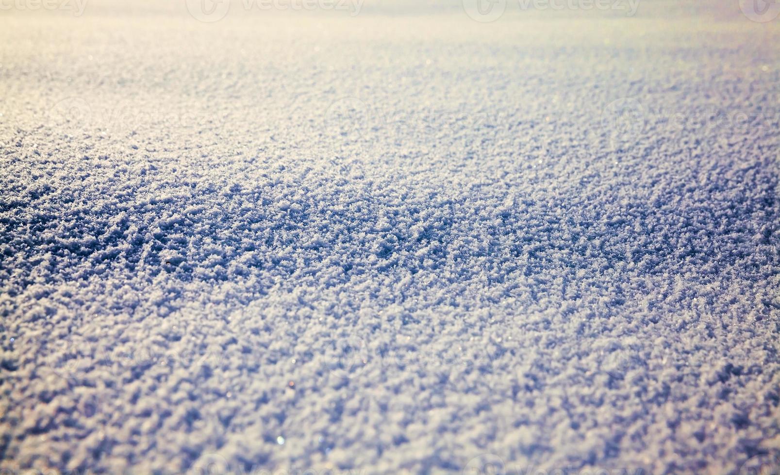 fresh snow surface photo