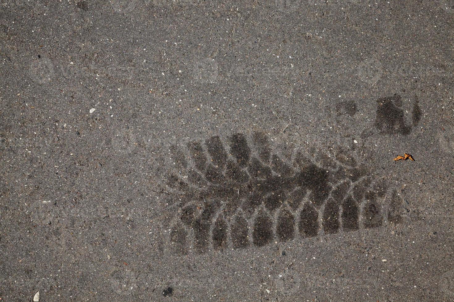 car oil stains on an asphalt road photo