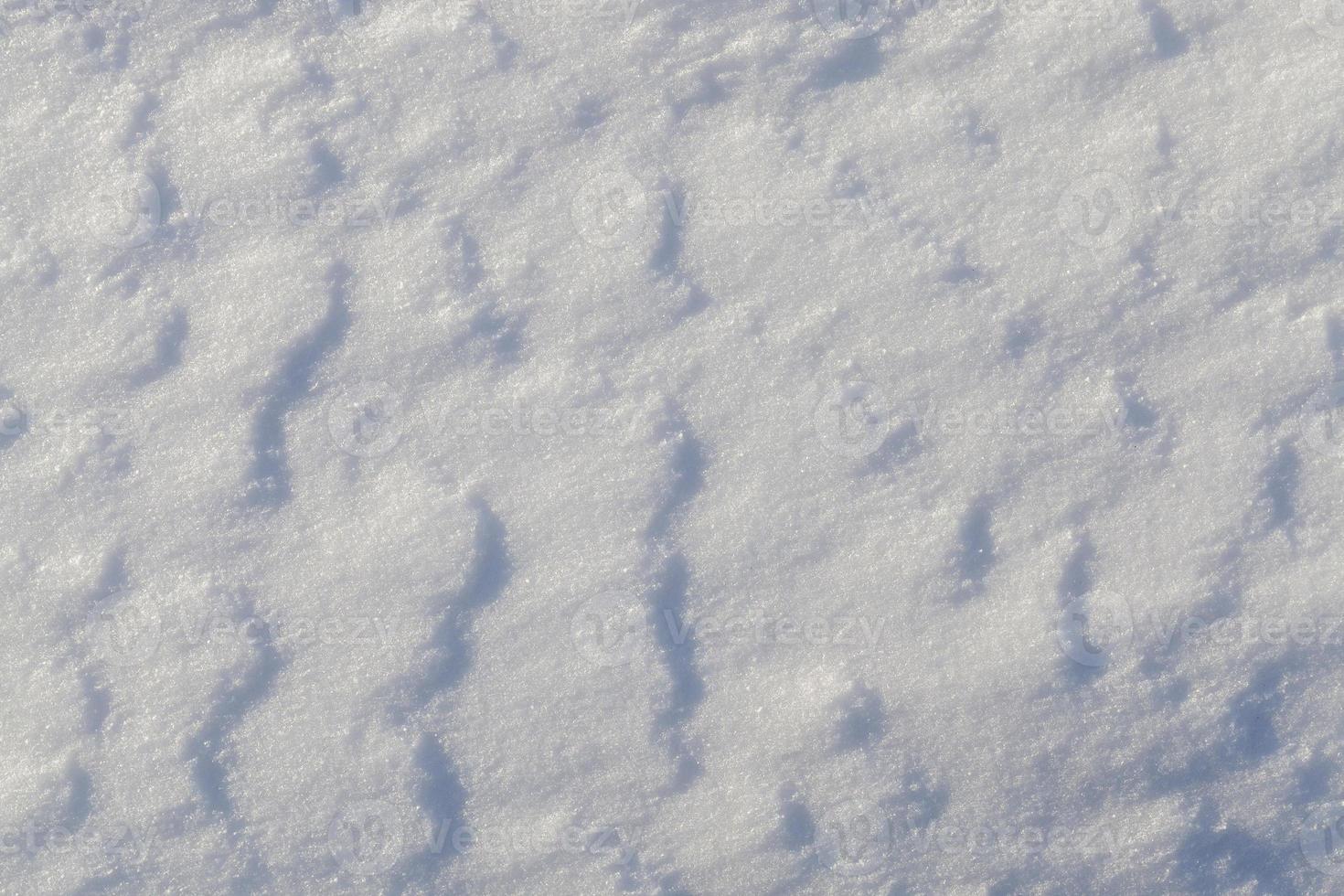 Snow drifts in winter photo