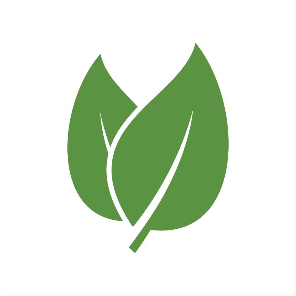 leaf icon vector design template simple and clean