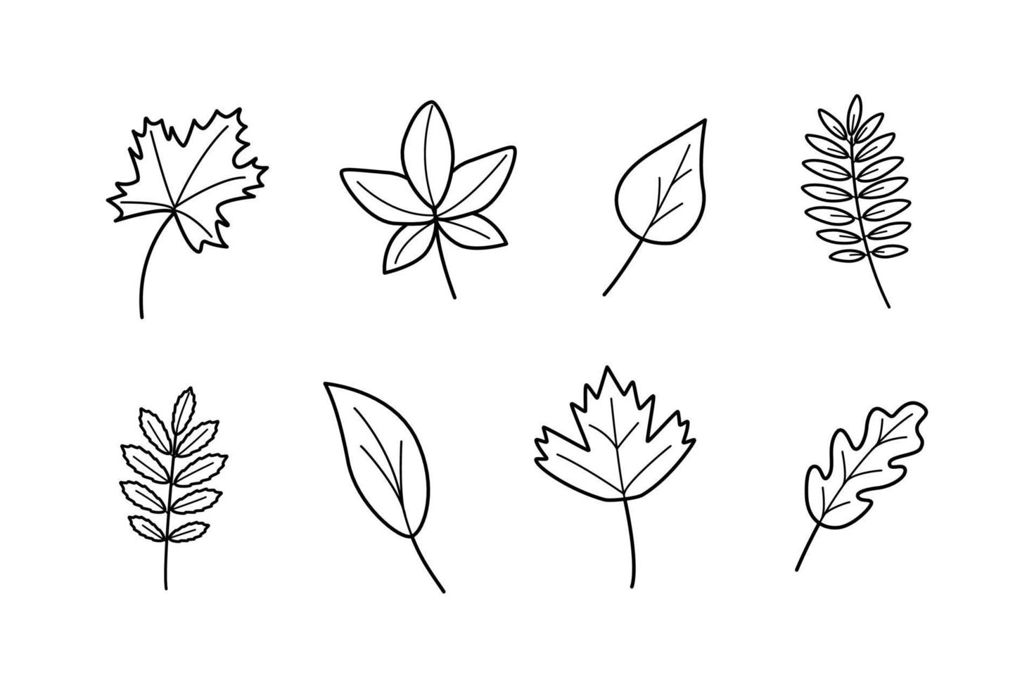 Tree leaves, doodle set of leaves, maple oak viburnum aspen birch rowan vector