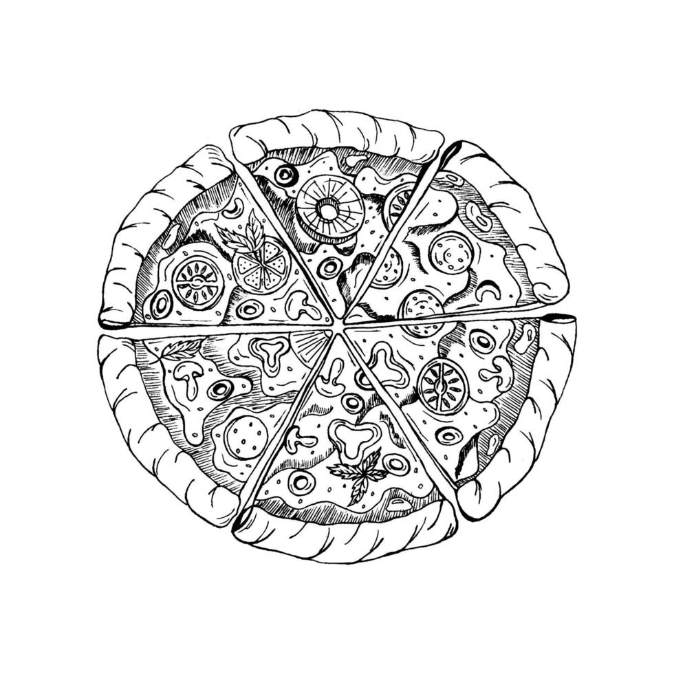 Italian pizza vector illustration. Hand drawn sketch pizza. Italian food. Package design. Pizza slices in a circle.