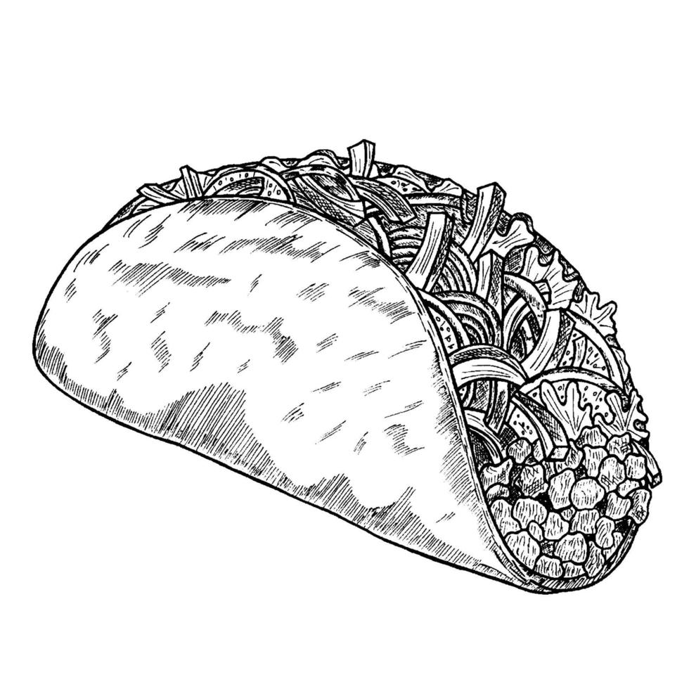 Mexican street taco with meat and vegetables in vintage style, isolated vector illustration