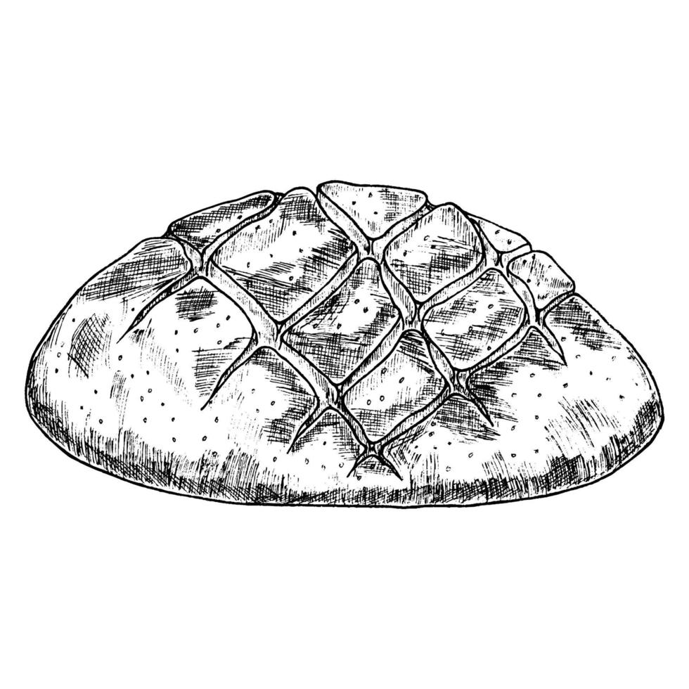 A loaf of bread.Rye round rustic bread or wholegrain bread.Logatype, icon.A sketch of a realistic line.Vintage illustration. vector