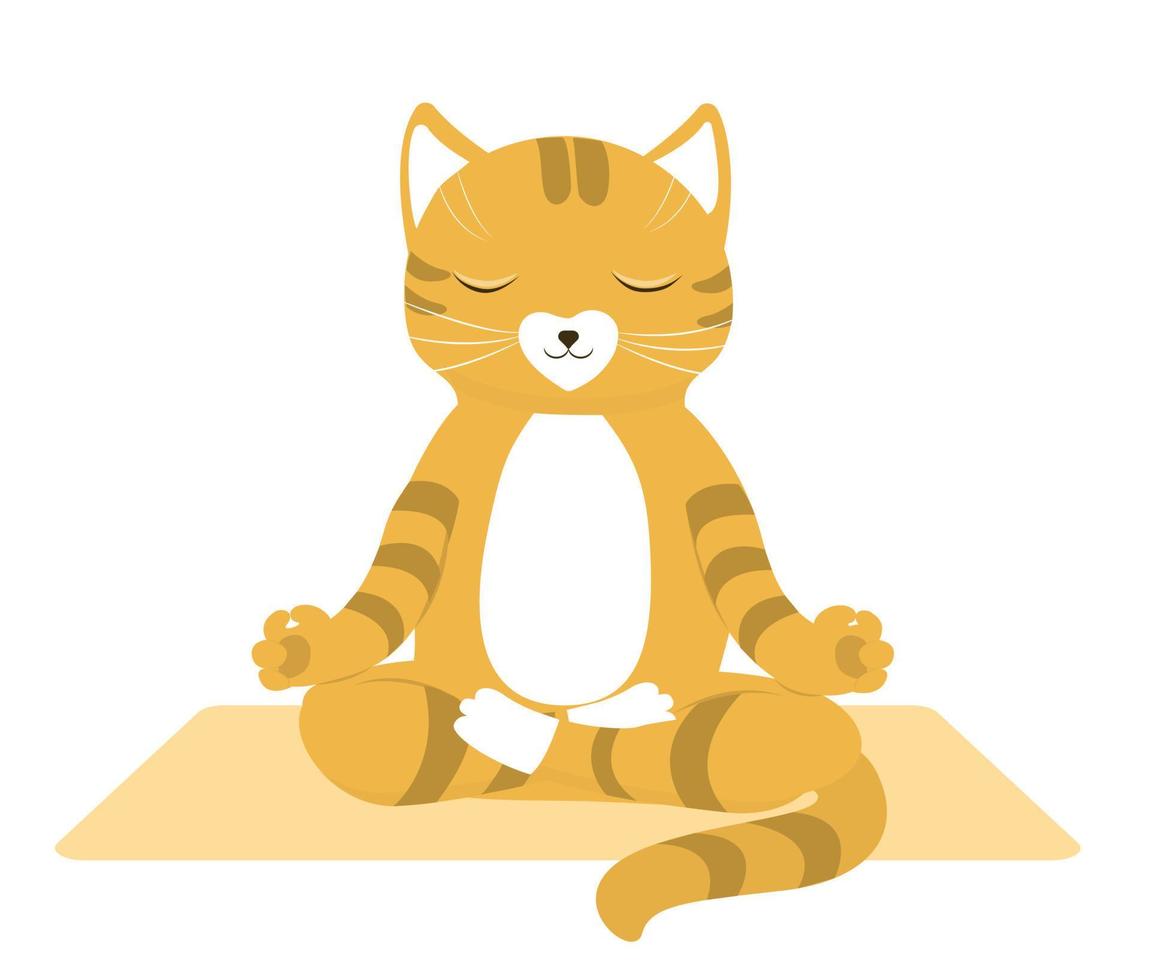 Cartoon funny cats  doing yoga position isolated on white background. Vector illustration