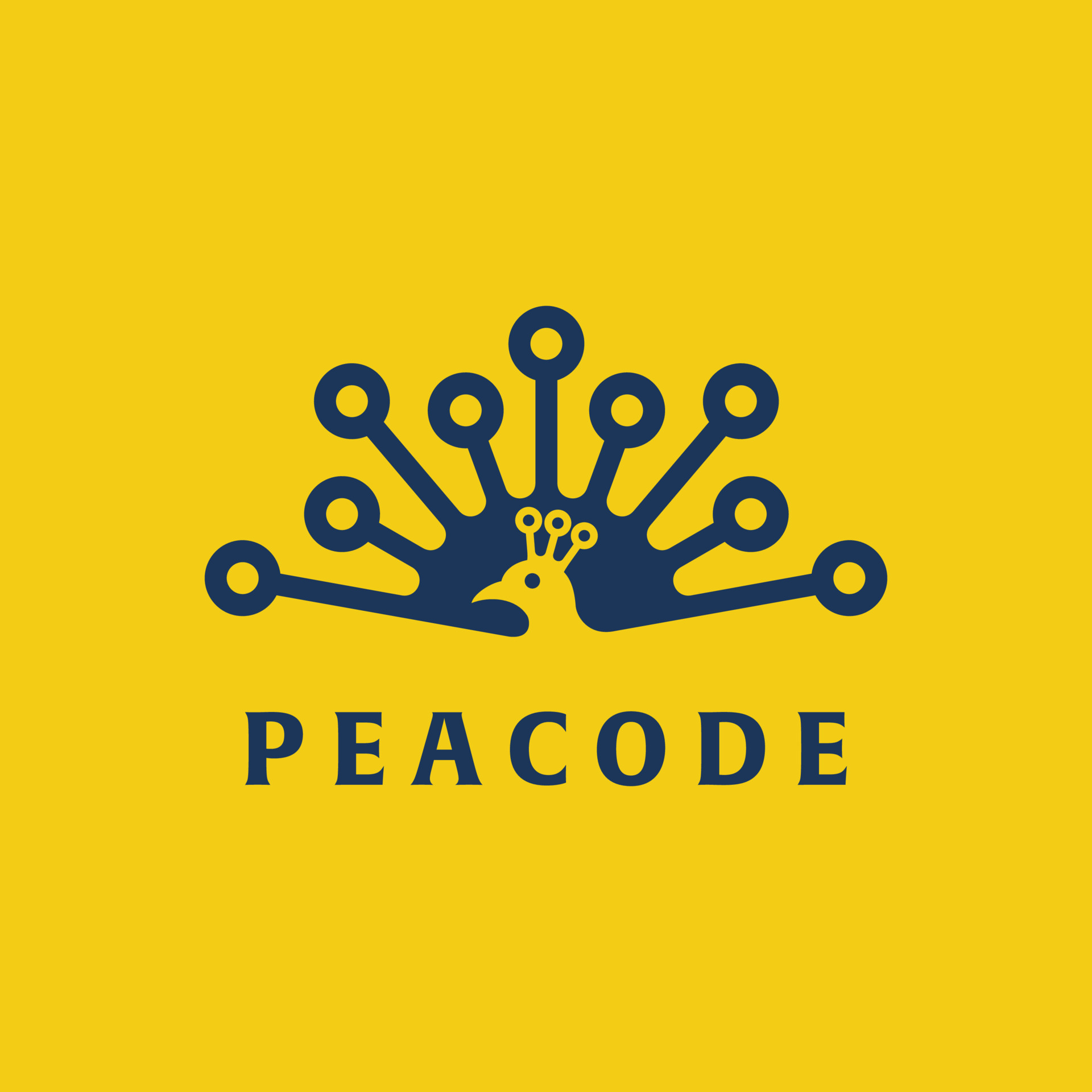 Peacock Code Logo 9678432 Vector Art at Vecteezy