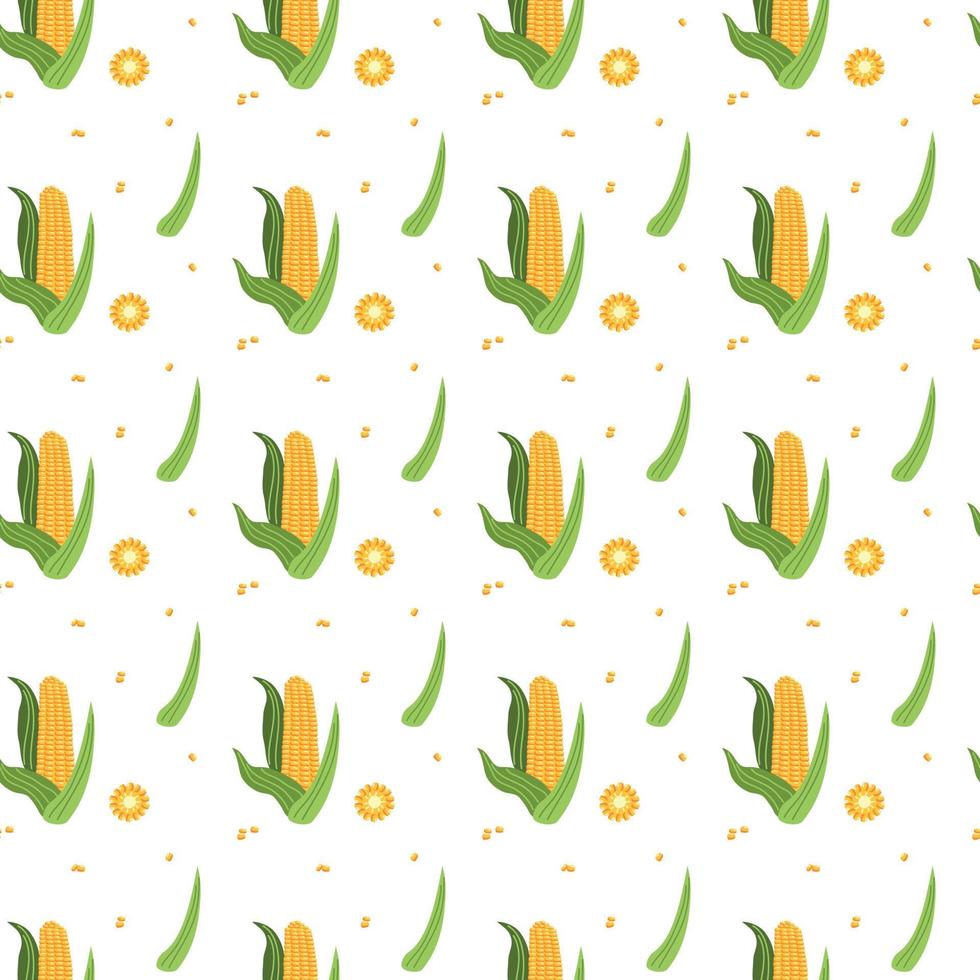 Summer pattern of corn cobs vector