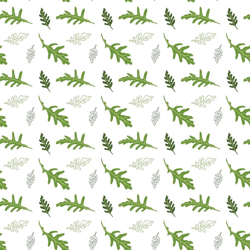 A pattern of useful green arugula vector