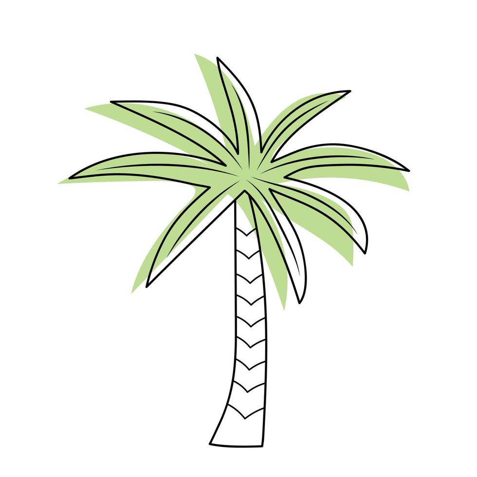 Palm tree isolated on white background. vector