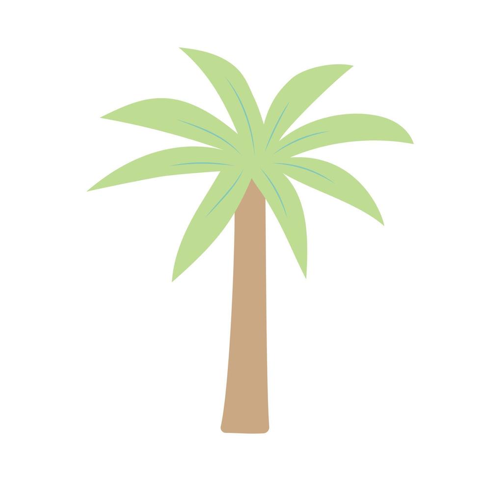 Palm tree isolated on white background. vector