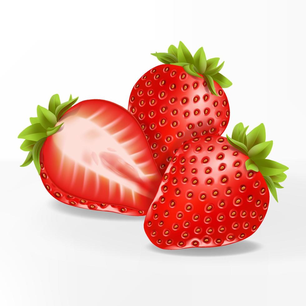 Vector 3D Illustration Realistic Sliced Strawberries Illustration in White Background