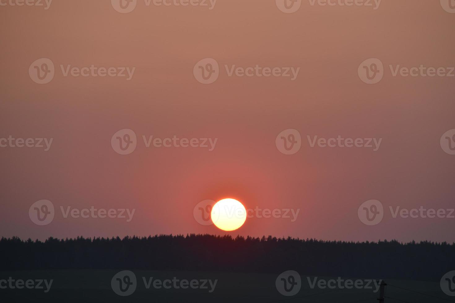 The red ball of the sun on the sunset horizon in the evening and the branches of trees. photo