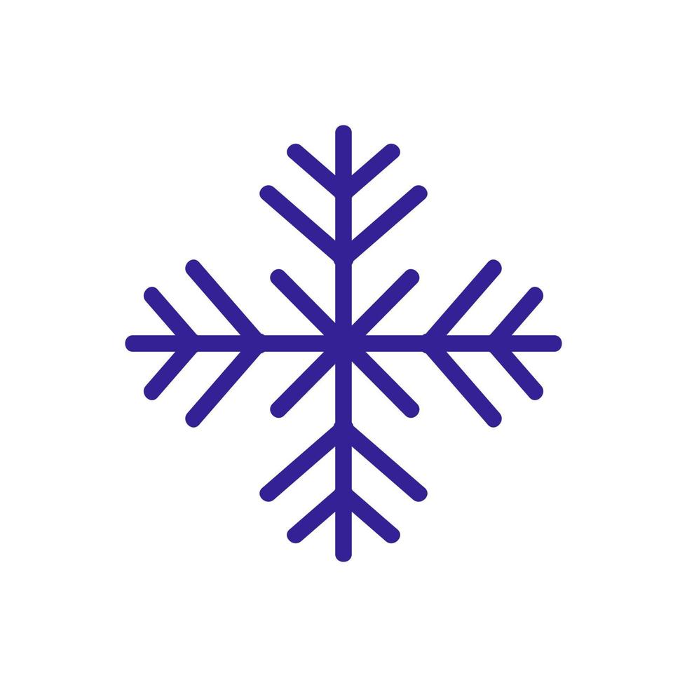 Winter snowflake icon vector. Isolated contour symbol illustration vector