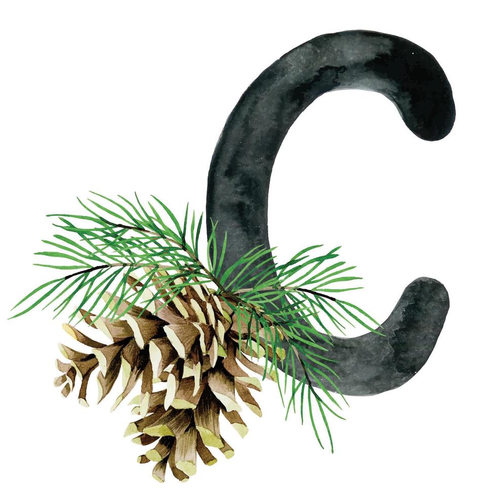 Card with alphabet letter C. cute drawing for kids alphabet, letter A and fir cone. watercolor hand drawn vector