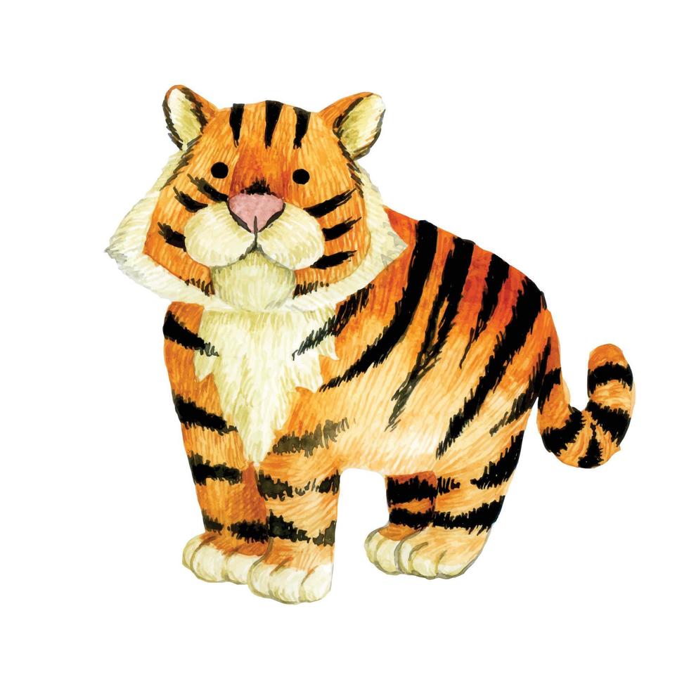 dibujo de acuarela. lindo personaje de tigre. aislado sobre fondo blanco animales tigre. dibujo para niños animales del bosque, zoológico vector