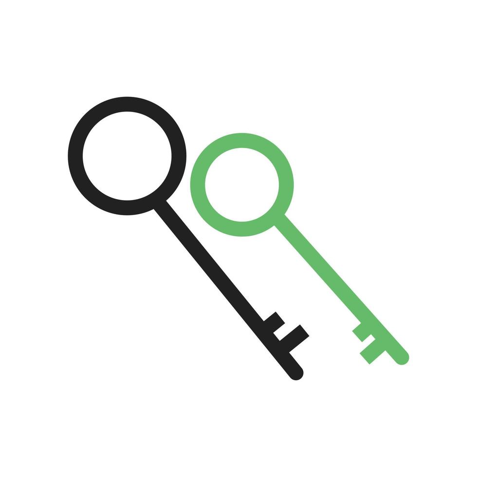 Two Keys Line Green and Black Icon vector