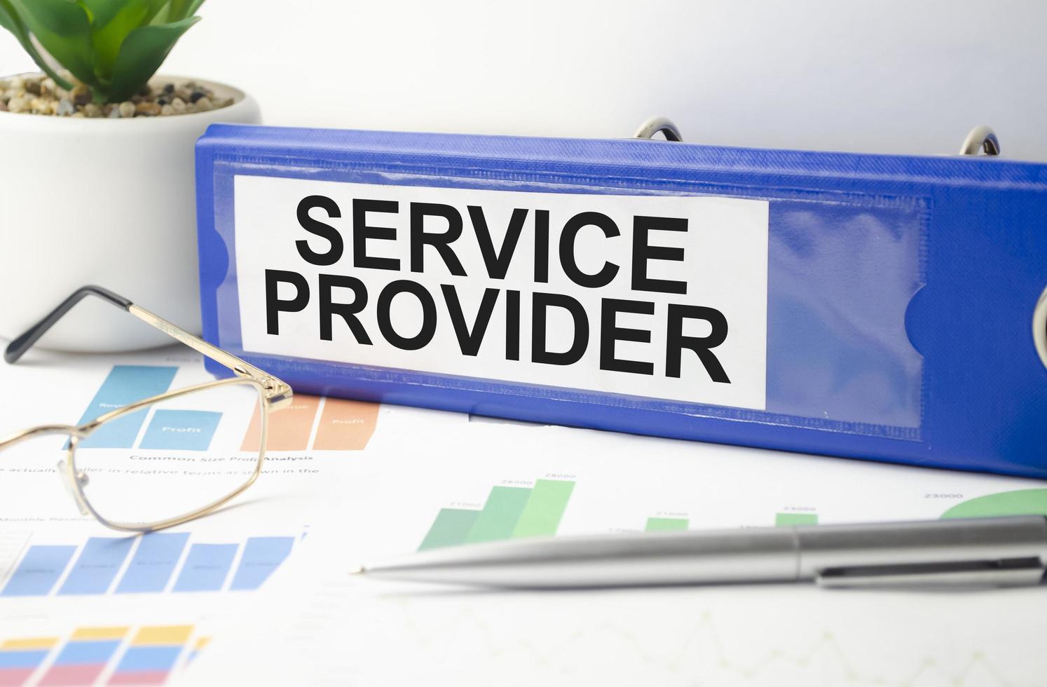 blue file folder with words take SERVICE PROVIDER . Business concept photo