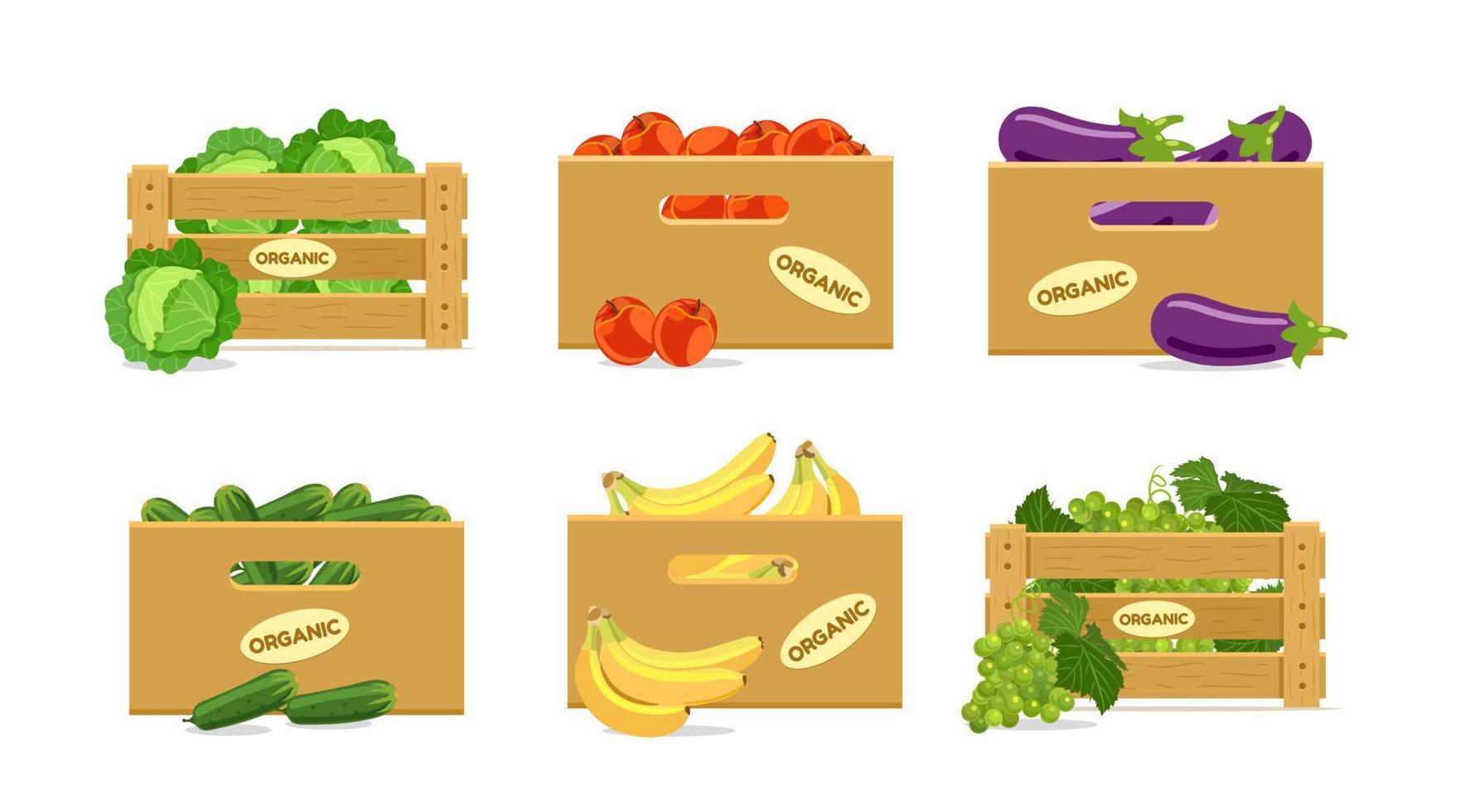 Set of boxes with fruits and vegetables. With cabbage, apples, eggplants, cucumbers, bananas, grapes. Vector illustration isolated on white background.