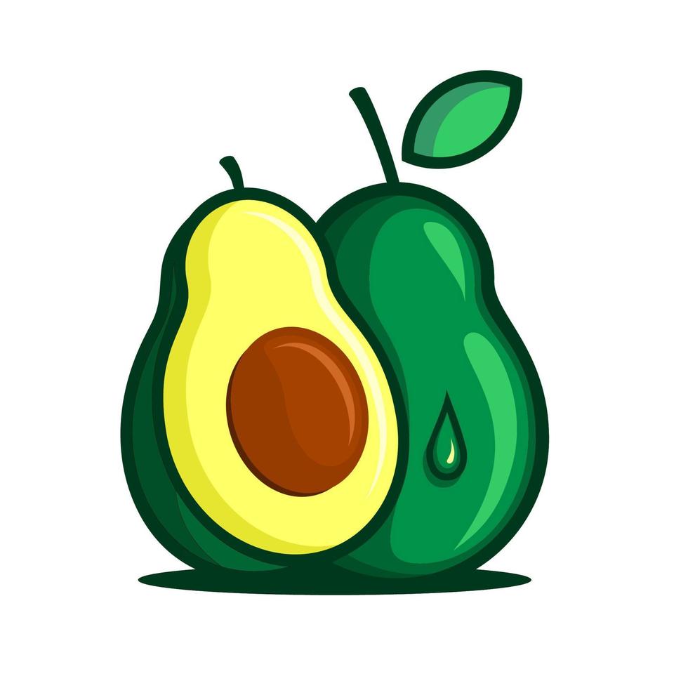 vector illustration of avocado fruit, avocado split vector