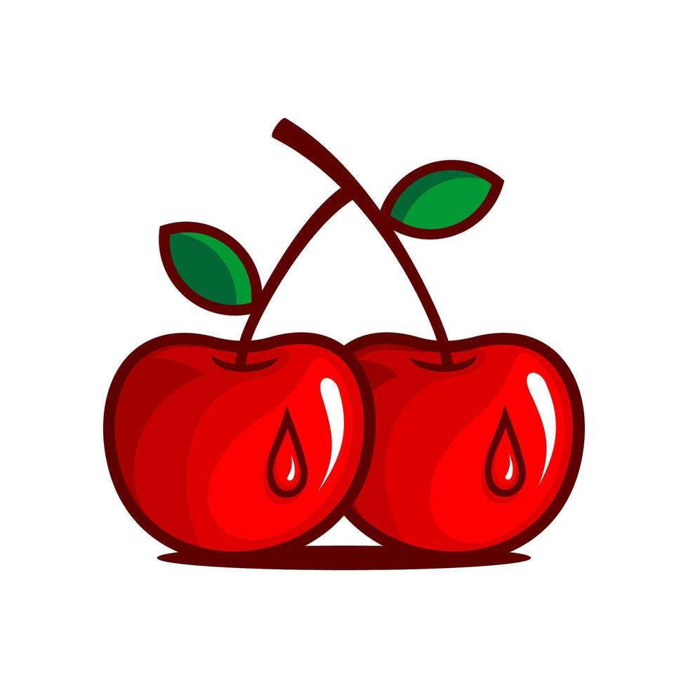 CHERRY FRUIT VECTOR