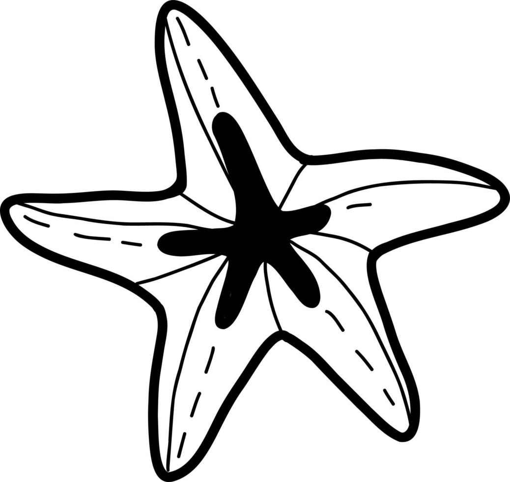Starfish sketch. Vector illustration in the style of a doodle