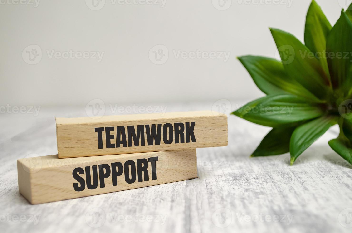 Teamwork support on wooden blocks on a white wooden table photo